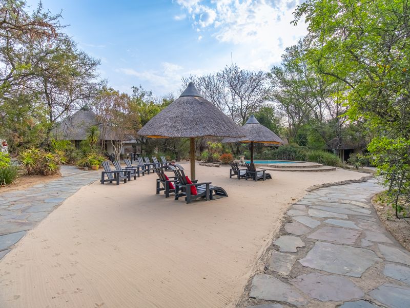 4-Star Lodge for Sale – Chartwell North, Johannnesburg - Photo 7