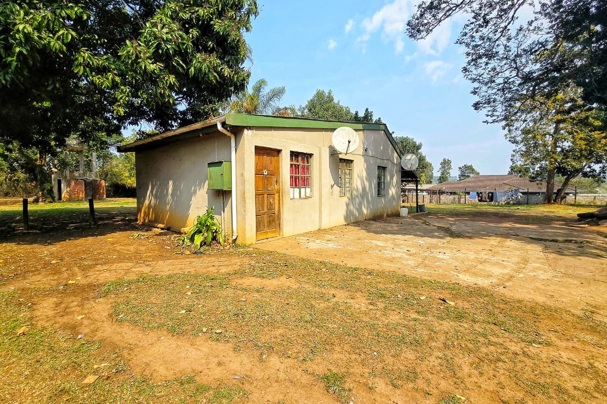 Rear view of a detached structure featuring a concrete apron, timber door, and steel window frames, set within a large, unlandscaped garden area.