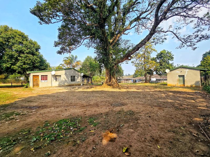 Rear view of the property featuring two detached structures set on a large plot with mature trees and natural ground cover.