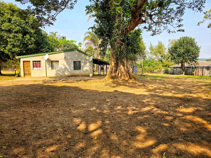 A view of the rear exterior of the house featuring a covered patio area and a large, unpaved garden space with mature trees.