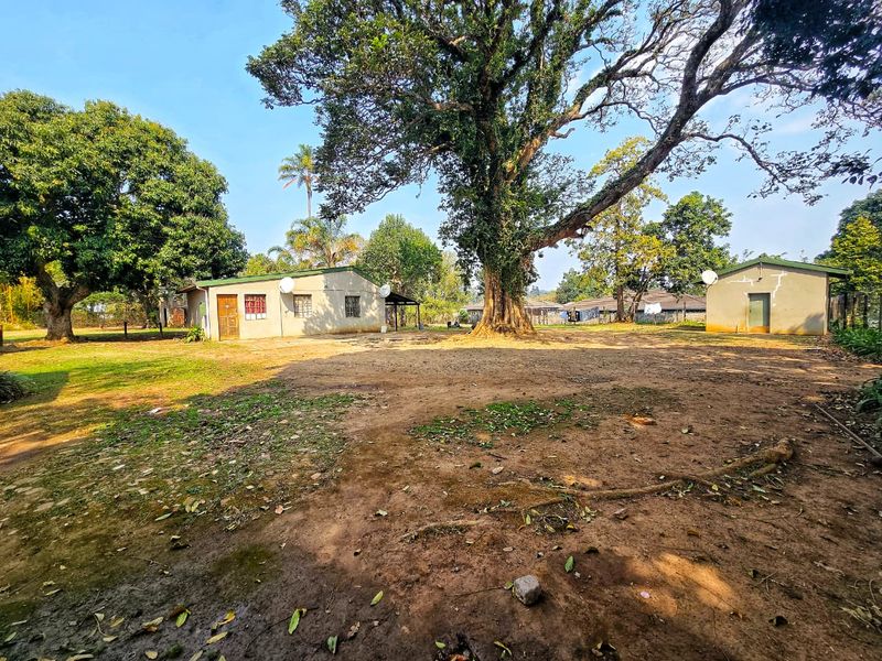 Spacious backyard area featuring mature trees and two detached outbuildings with visible exterior wall cracks.
