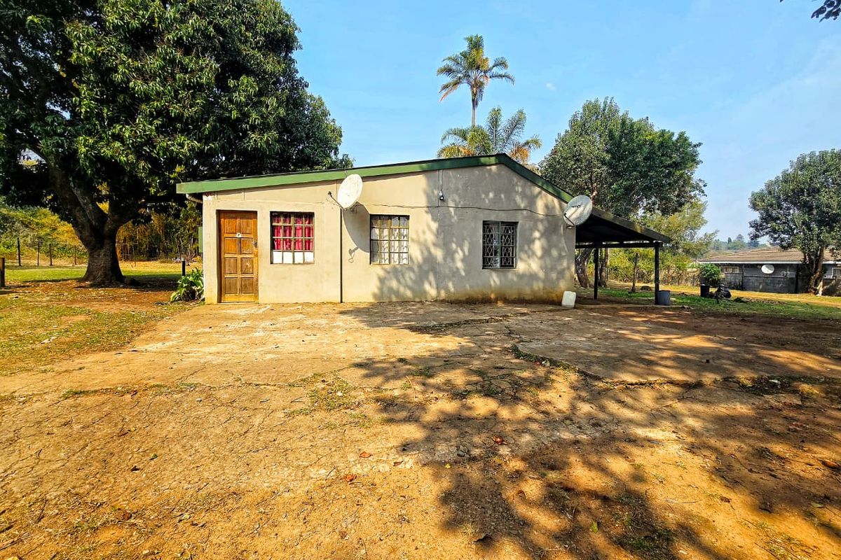 Rear view of a detached house featuring a concrete patio area, metal roofing, and security bars on the windows.