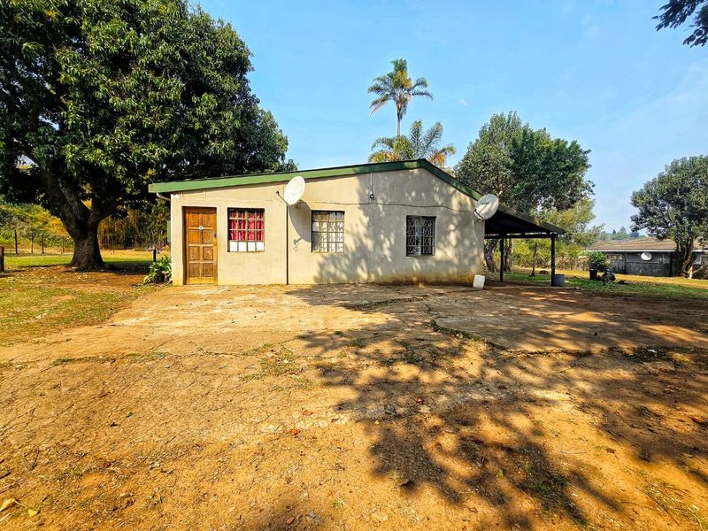Rear view of a detached house featuring a concrete patio area, metal roofing, and security bars on the windows.