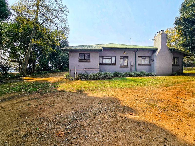 Rear view of a single-story house featuring a corrugated metal roof, masonry chimney, and established garden surroundings.