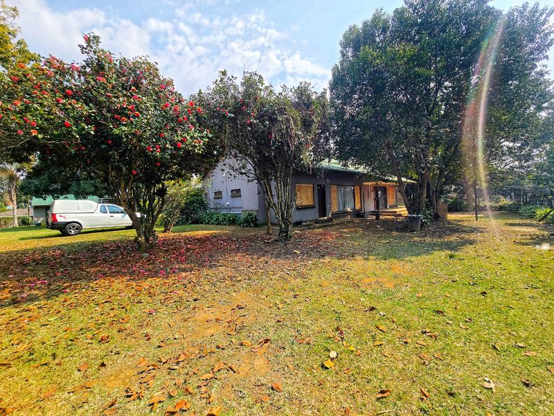 A rear view of a residential property featuring a large garden with mature trees and a house with boarded-up windows.