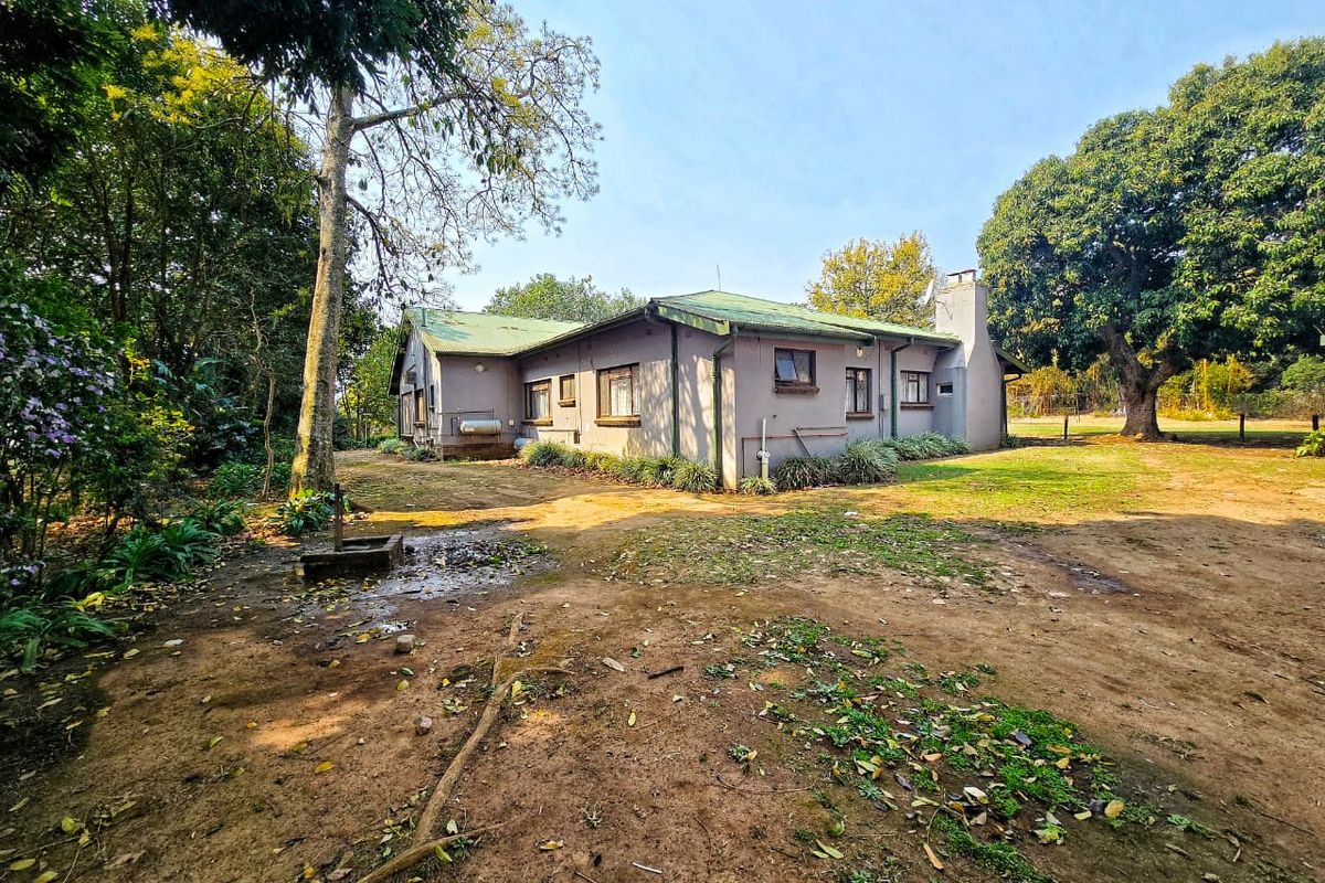 Rear view of a single-story house featuring a metal roof, chimney, and surrounding garden area with unpaved ground.
