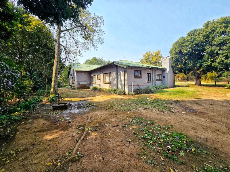 Rear view of a single-story house featuring a metal roof, chimney, and surrounding garden area with unpaved ground.