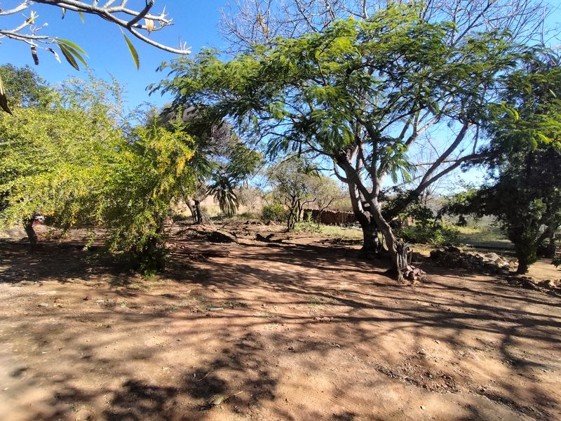 Discover Your Dream Agricultural Haven in Onderstepoort! - Photo 3