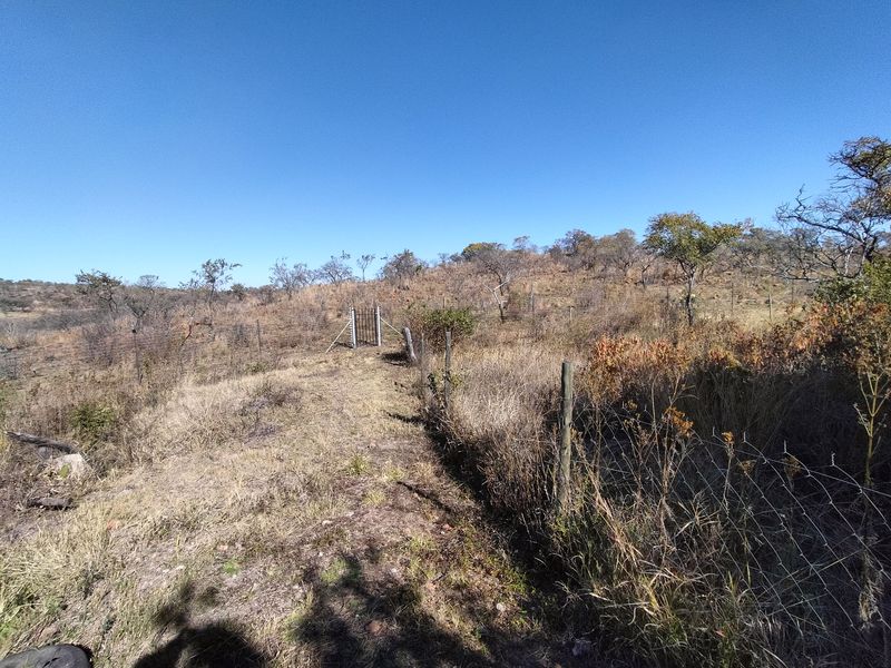 Discover Your Dream Agricultural Haven in Onderstepoort! - Photo 6