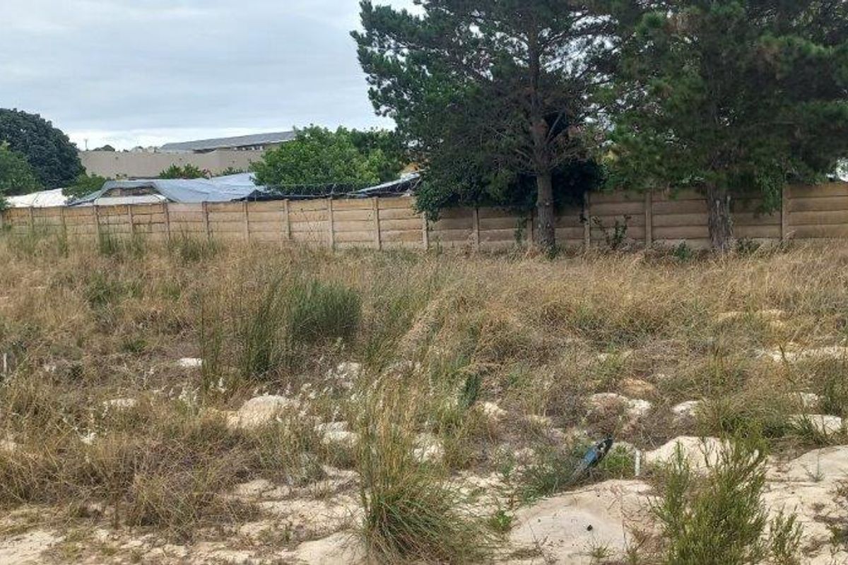 Large Vacant Stand in complex - Photo 3