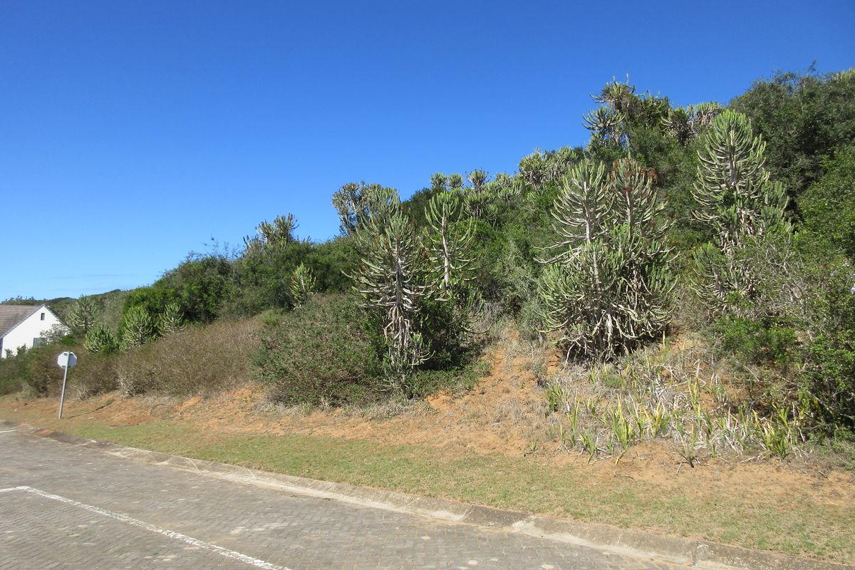 Build Your Dream Home at Port Alfred Country Club Estate - Photo 5