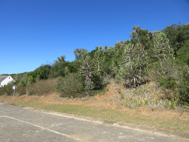 Build Your Dream Home at Port Alfred Country Club Estate - Photo 5