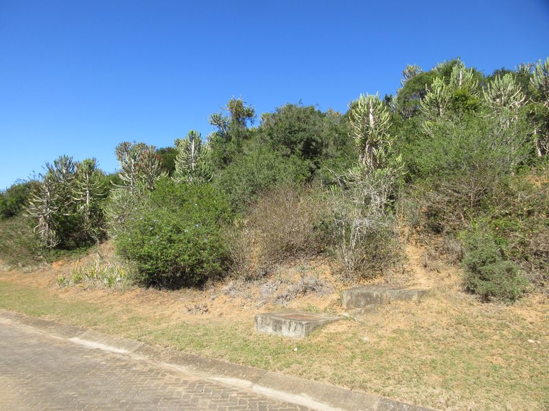 Build Your Dream Home at Port Alfred Country Club Estate - Photo 10