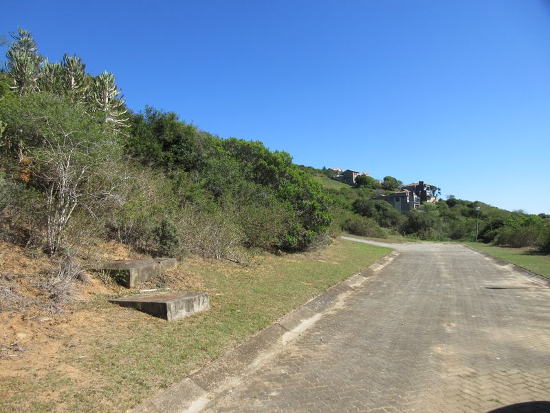 Build Your Dream Home at Port Alfred Country Club Estate - Photo 6