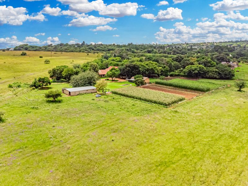 Aerial view of a small holding property featuring expansive green fields, cultivated agricultural land, and established outbuildings surrounded by mature trees.