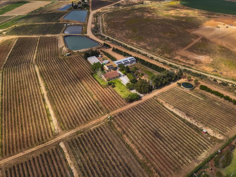 Lutzville Plaas - 36ha - Photo 2