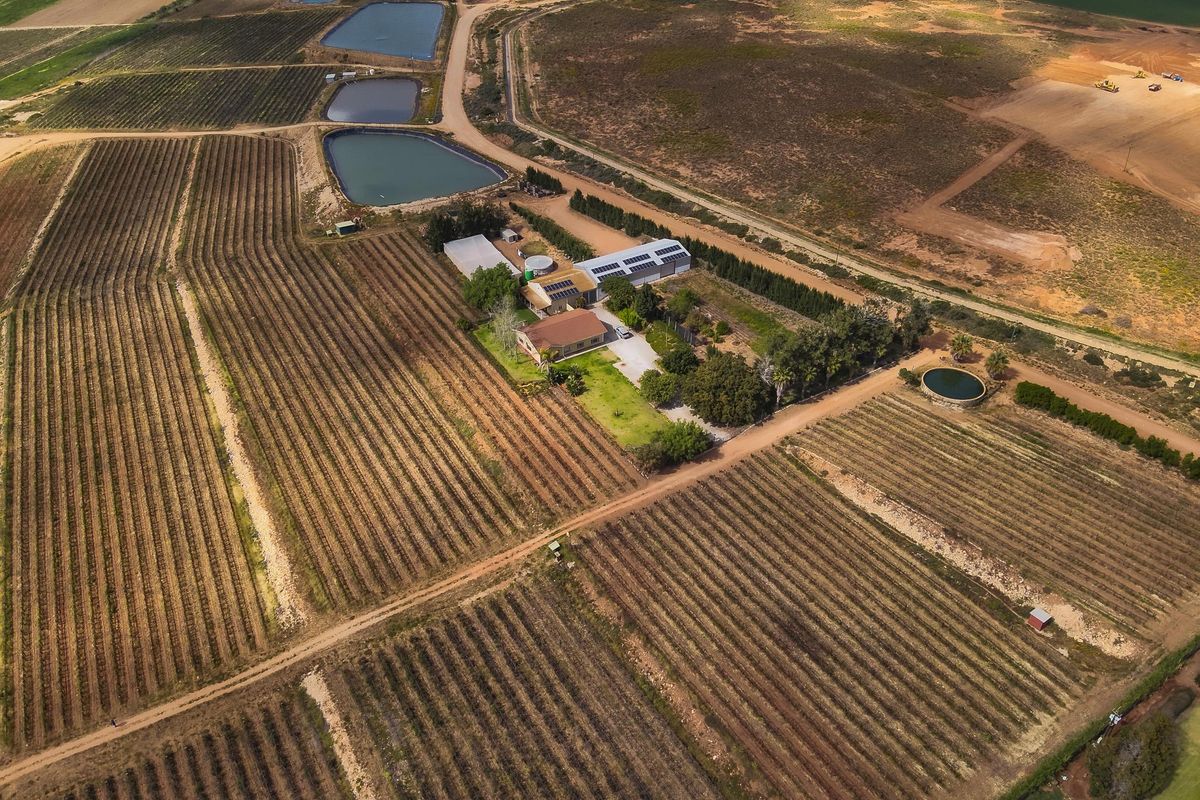 Lutzville Plaas - 36ha - Photo 2