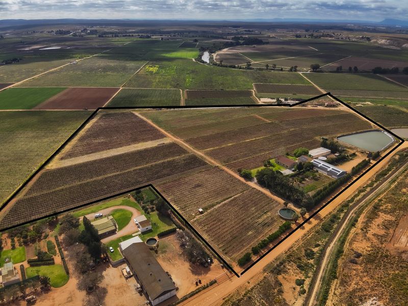 Lutzville Plaas - 36ha - Photo 3