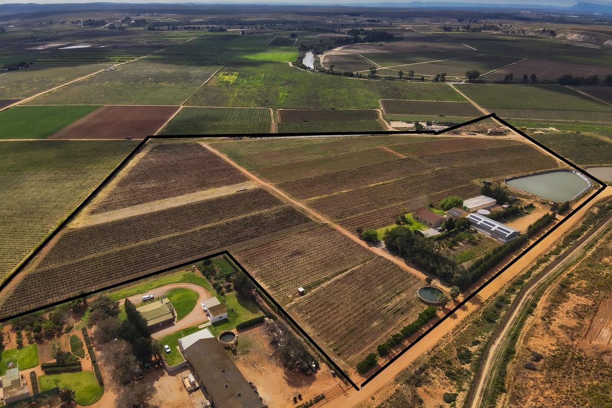 Lutzville Plaas - 36ha - Photo 3