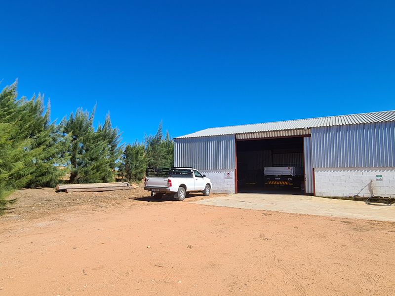 Lutzville Plaas - 36ha - Photo 5