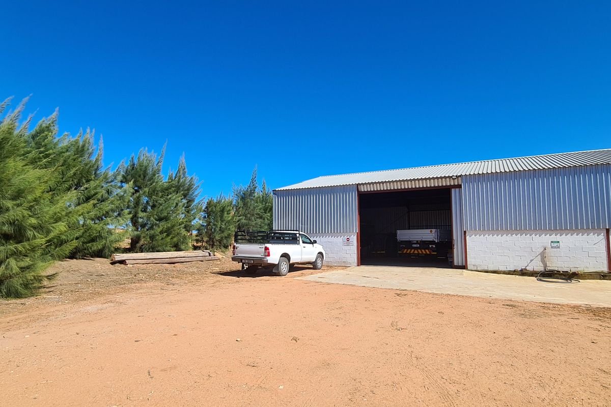Lutzville Plaas - 36ha - Photo 5