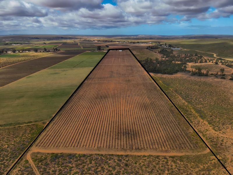 Lutzville Plaas - 36ha - Photo 6