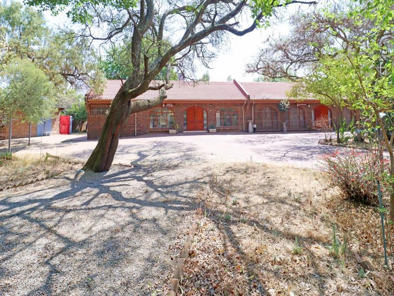 Front exterior view of a single-story brick house featuring a tiled roof, arched entrance doors, and a paved driveway surrounded by mature trees.