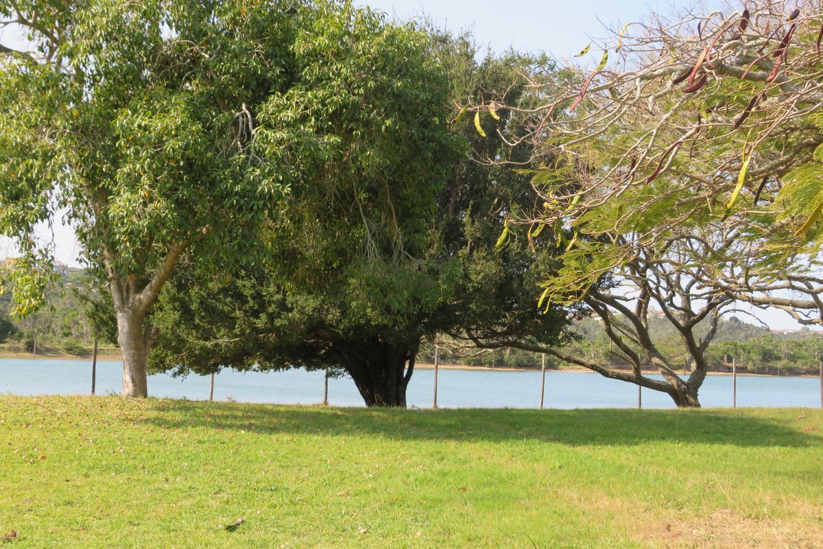 Beautiful Riverfront Plot in a Secure Upmarket Estate in Port Alfred - Photo 2