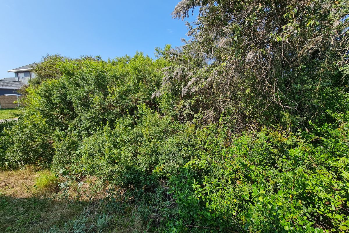 Level Vacant Stand for Your New Home in Aston Bay, Jeffreys Bay - Photo 4