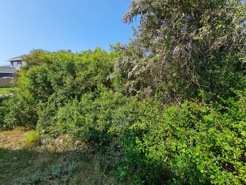 Level Vacant Stand for Your New Home in Aston Bay, Jeffreys Bay - Photo 4