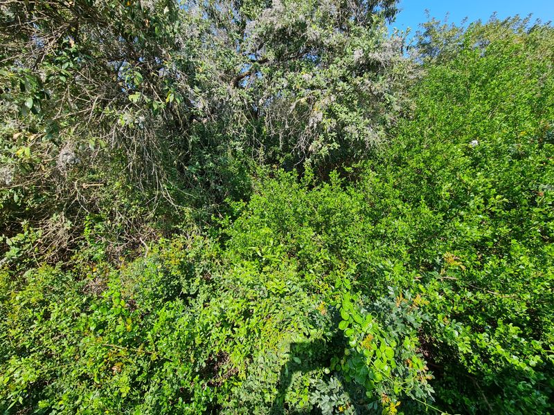 Level Vacant Stand for Your New Home in Aston Bay, Jeffreys Bay - Photo 6