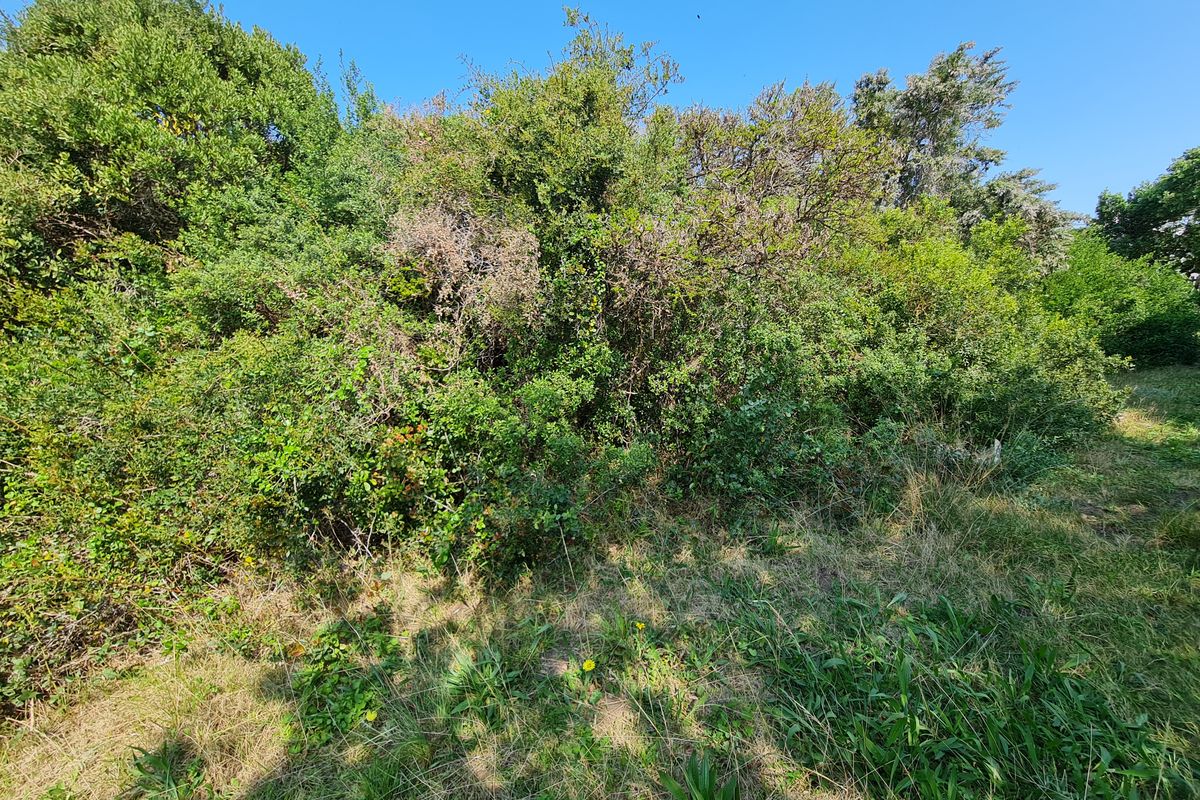 Level Vacant Stand for Your New Home in Aston Bay, Jeffreys Bay - Photo 5