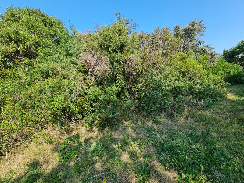 Level Vacant Stand for Your New Home in Aston Bay, Jeffreys Bay - Photo 5