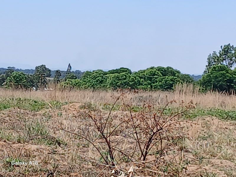 Massive Stand 3587 m2 for Sale in Vaalpark - Photo 4