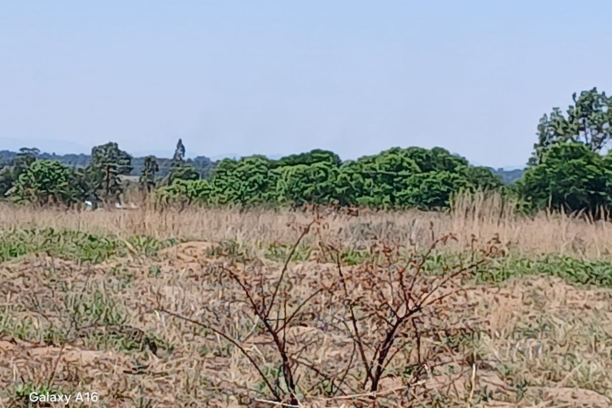 Massive Stand 3587 m2 for Sale in Vaalpark - Photo 4