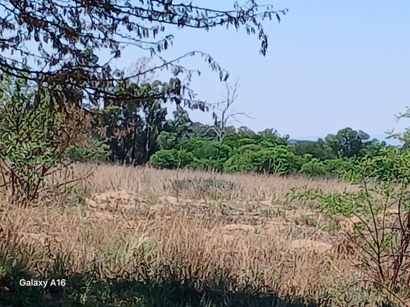 Massive Stand 3587 m2 for Sale in Vaalpark - Photo 3