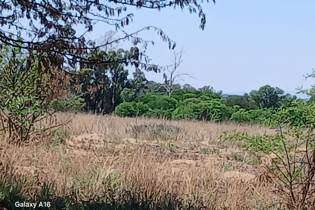 Massive Stand 3587 m2 for Sale in Vaalpark - Photo 3