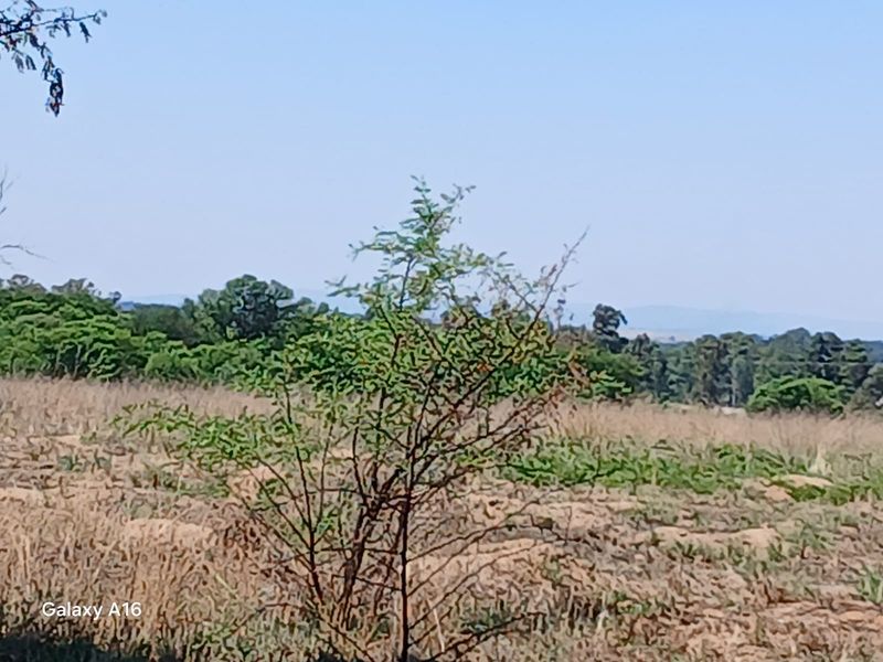 Massive Stand 3587 m2 for Sale in Vaalpark - Photo 2