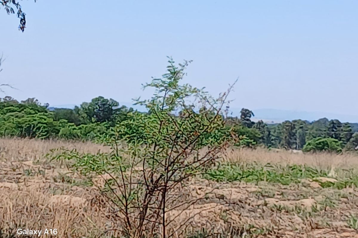 Massive Stand 3587 m2 for Sale in Vaalpark - Photo 2