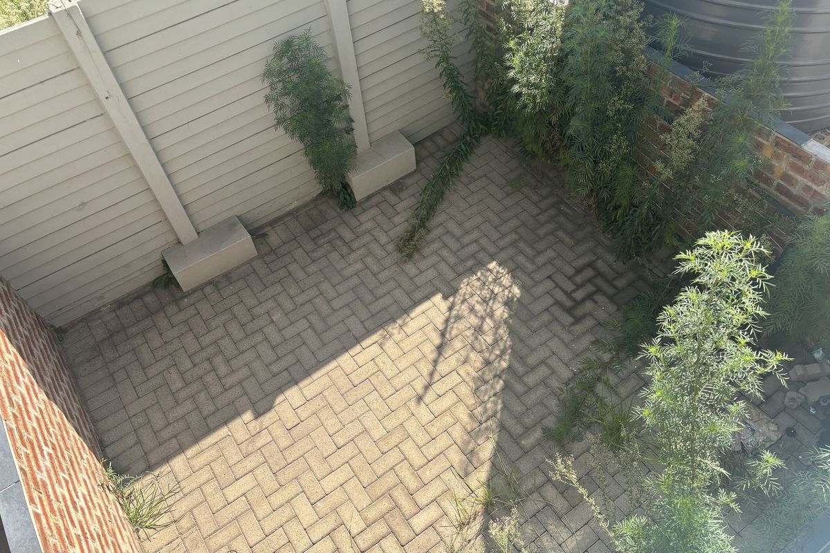 A small rear courtyard area featuring paved flooring, a timber boundary fence, and a brick wall, currently requiring maintenance of the surrounding vegetation.