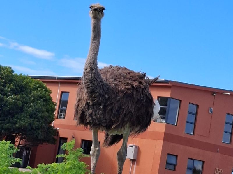 Lifestyle boutique Small holding in Franskraal - Photo 2