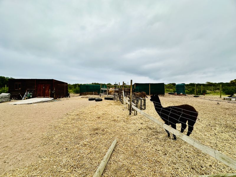 Lifestyle boutique Small holding in Franskraal - Photo 8