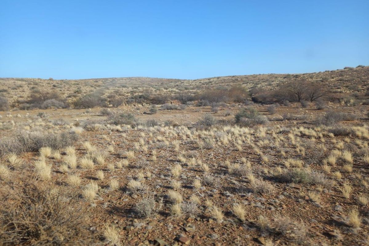 8505 HA PLAAS - Photo 5