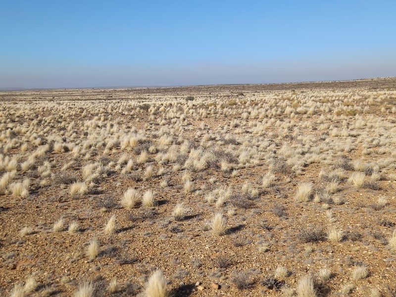 A wide-angle view of the expansive, arid landscape characteristic of the farm property, featuring natural dry grasses and rocky terrain.