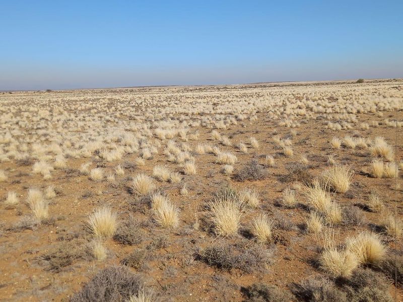 A wide-angle view of the expansive, arid landscape characteristic of the farm property, showcasing the natural terrain and open veld.