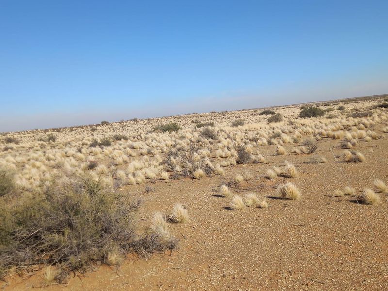 A wide-angle view of the expansive, arid landscape featuring natural dry grasses and sparse shrubbery typical of the farm property.