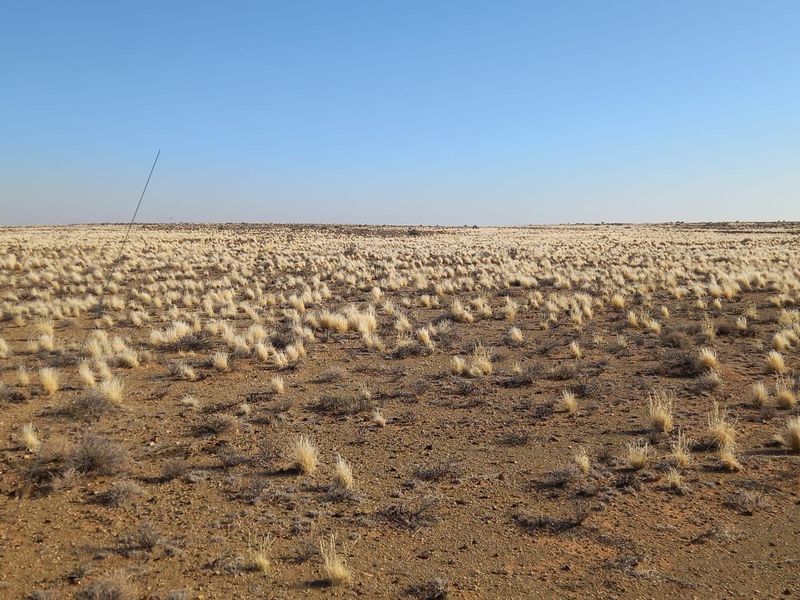 Expansive view of the open farm landscape featuring natural dry grassland and arid terrain under a clear blue sky.