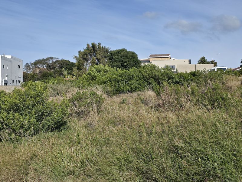 Desirable Northeasterly Orientation Stand - Photo 9