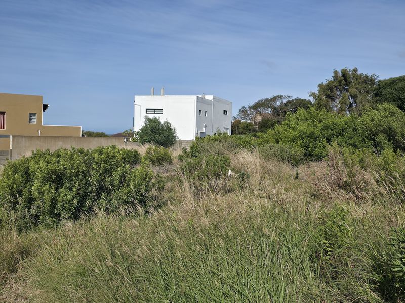 Desirable Northeasterly Orientation Stand - Photo 8