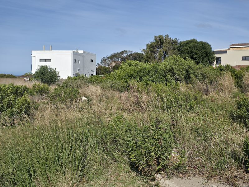 Desirable Northeasterly Orientation Stand - Photo 7